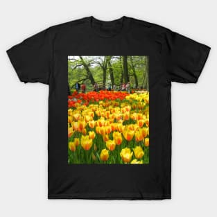 Keukenhof Tulip Festival, Holland T-Shirt